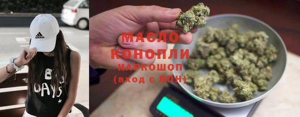 гидра Осинники