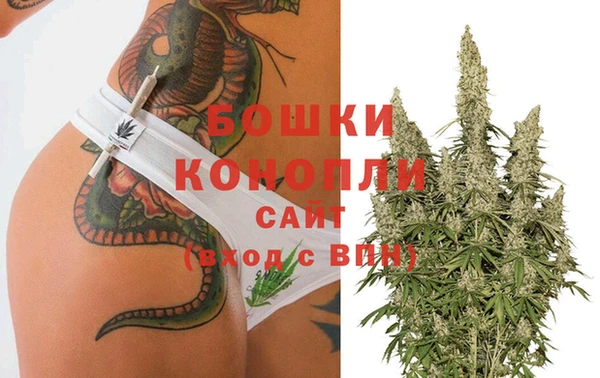 дживик Балахна