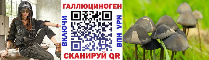 MEGA ссылки  купить  сайты  Вяземский  Галлюциногенные грибы мухоморы 